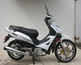 TAURUS TR135-AD
