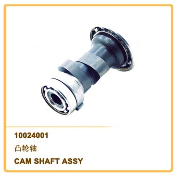 CAM SHAFT ASSY