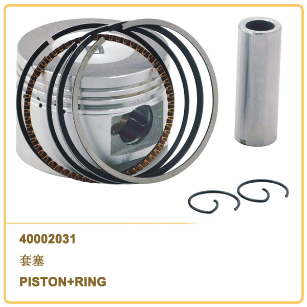 PISTON+RING