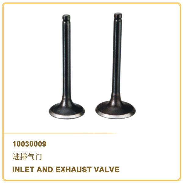 INLET AND EXHAUST VALVE