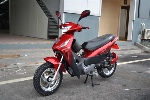 MYG135